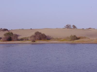 LAS DUNAS